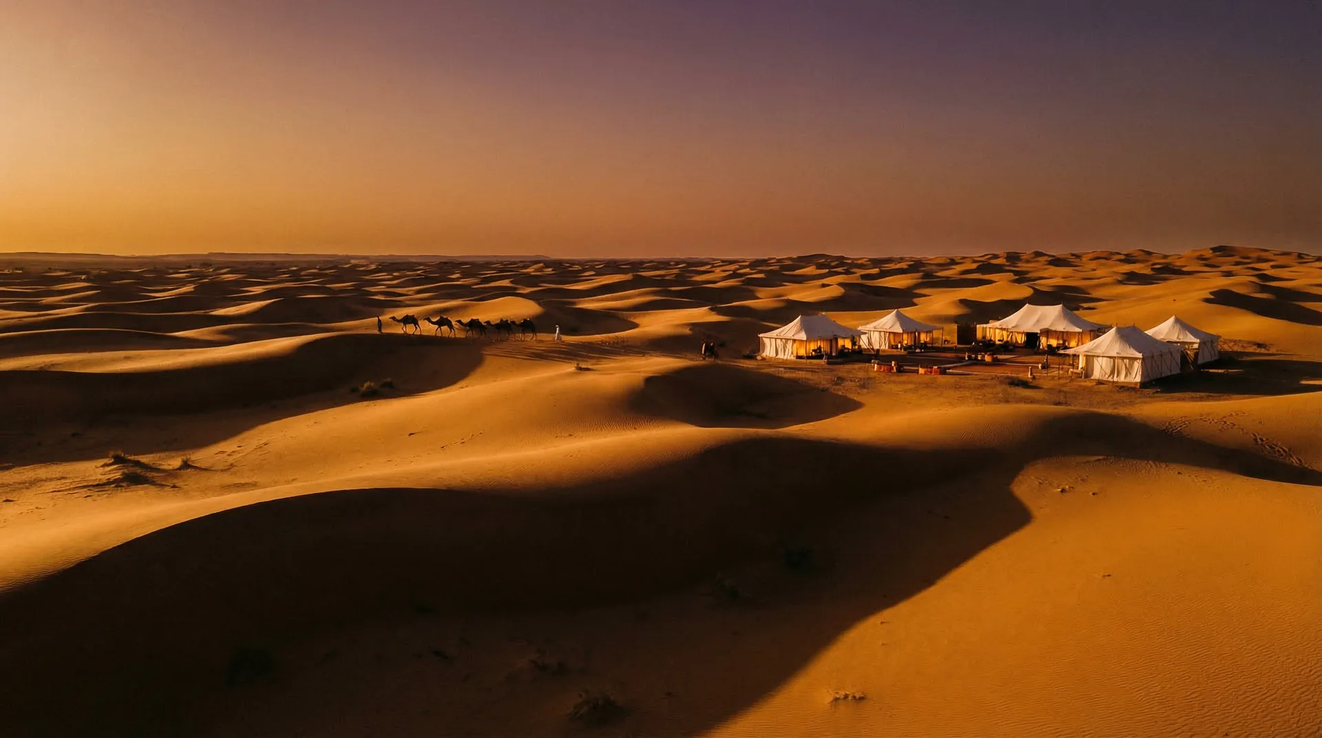 The Sahara at dusk — long dune shadows under a champagne sky